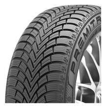  255/40 R19 Maxxis WP6 100W