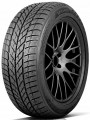  225/45 R18 XL PAXARO Inverno 95V t